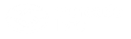 Clip-path-group.png